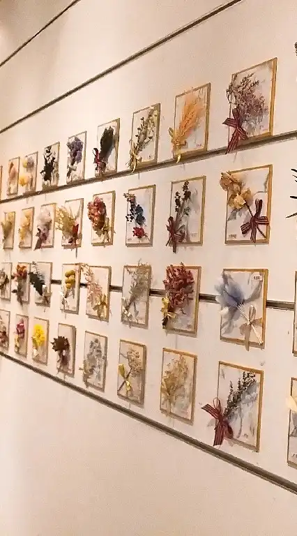 拈花惹草 乾燥花與不凋花的魔法時光