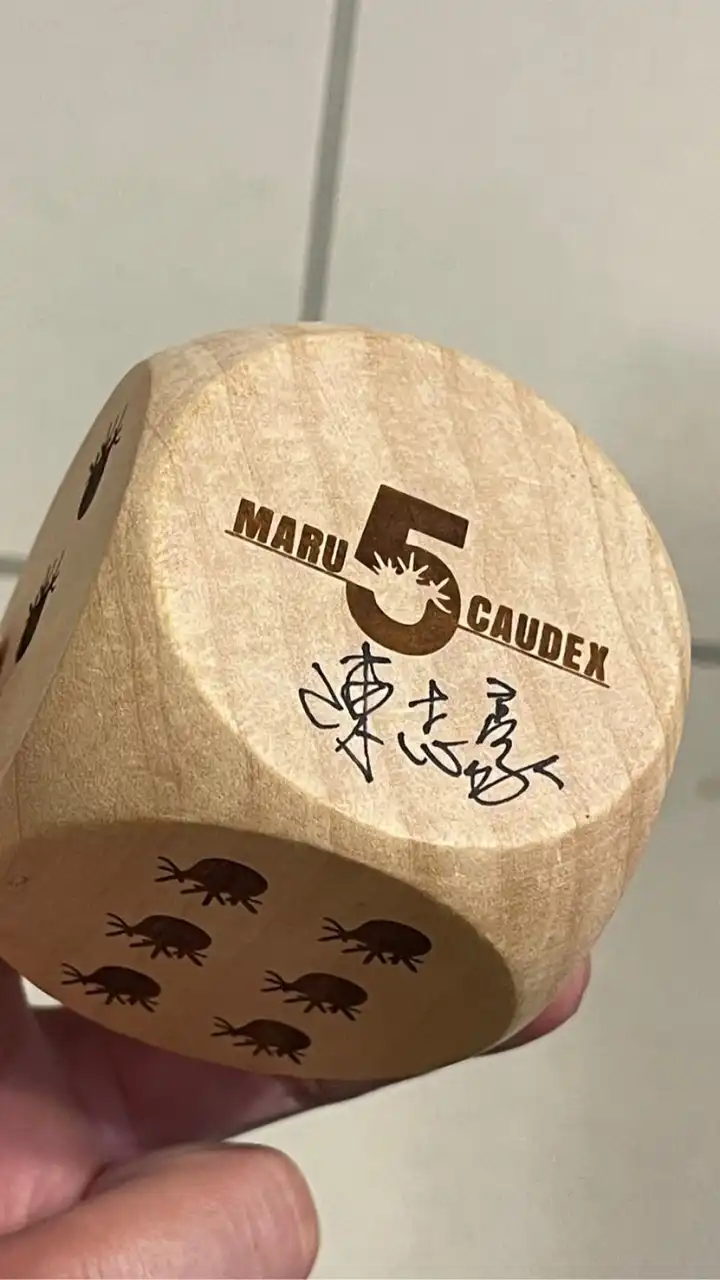 丸子5（塊根。盆器）