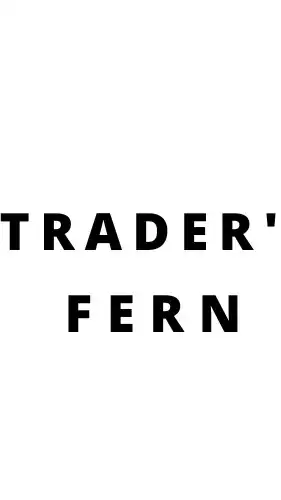Traders fern 交流區