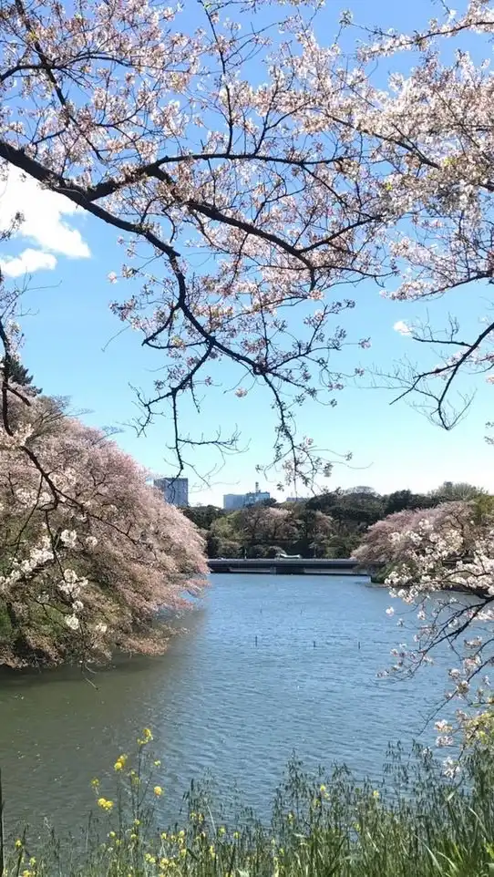 Laisleyの施生活🌷