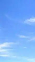 👑商業銷講的秘訣《商業銷講聯盟》