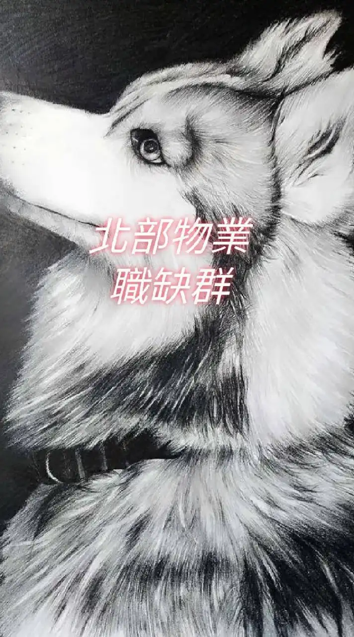 北部物業職缺群【禁言】