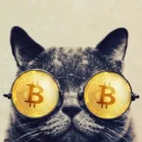 幣圈小姊姊與小夥伴的區塊鏈交流群