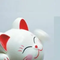 免資金-團購/採購團-樂瑞購物商城