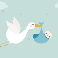 未來媽媽備孕中l等待送子鳥