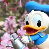 新竹玩具交流群