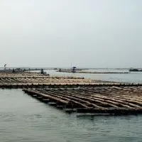 布袋阿祥上棚0938226801