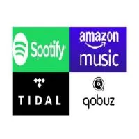 台灣無損音樂串流音響交流群( Tidal  / Spotify /  Qobuz/ Amazon)