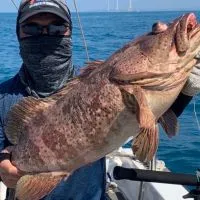 進福168娛樂海釣船-苗栗外埔