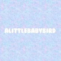🥨alittlebabybird-Stray Kids相關代購
