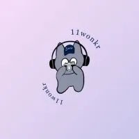 11wonkrꔛ代購