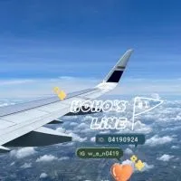 HoHo何の代購列車✈️🚄