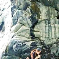 上山下海天然野人我最愛