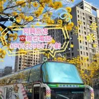 🍀跟著小齡趴趴走