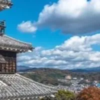 0168薇妮-旅遊清艙破盤特賣會