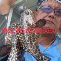 東信海釣 只聊報名時間 和釣魚相關資訊