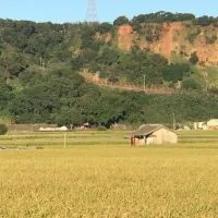 樂齡逍遙遊