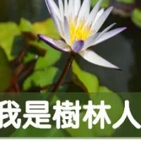 我是樹林人