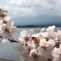 ✈️飛吧！玩吧！幸福去旅遊🌟