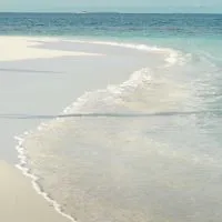 馬爾地夫渡假討論群🏝
