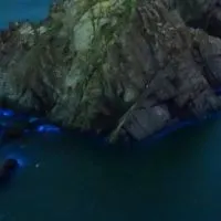 葳羚信翰與美伶的旅遊分享