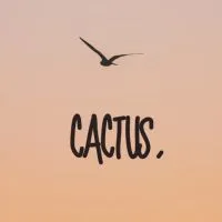 ✈️cactus｜代購小圈圈