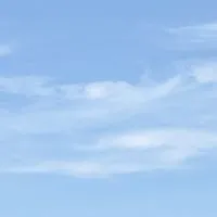 跟著小楊老師趣旅行