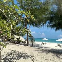旅行不只是種療癒✈️找到了 旅遊/國內外/員工/家族/客製行程❤️