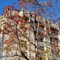 學年班～GCLab-NCHU.