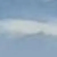 專五期同學，公告群