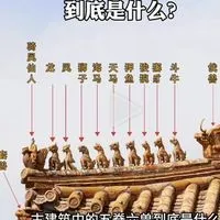 國內外旅遊服務領隊、台灣旅遊包車導遊