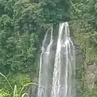 台灣旅遊&寵物專車&包車旅遊&機場接送&行程安排&代訂住宿門票&一般預約叫車服務&包月上下班課接送❤️