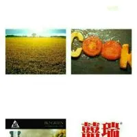 369 礁溪🔰福利社 tw.kungfu99.com 音樂美食