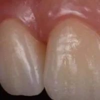 DrS 盾牌醫師團購群
