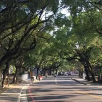 我是南投人