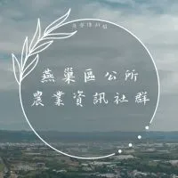 燕巢區公所農業資訊社群