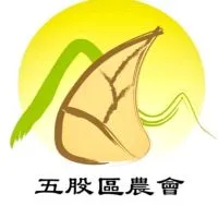 五農樂GO網