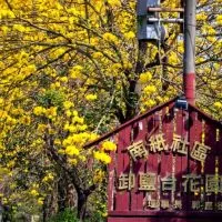 A咖熊幸福鐵道景觀餐廳