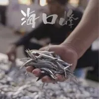 海口峰水產《海鮮團購網》工廠直營網路門市