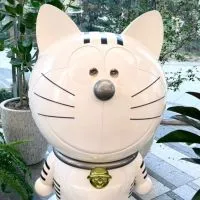 吉菓 07/17-22東京 日本代購 日本連線