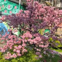 美食 便宜賣回饋大家