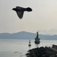 丸全魚樂（魚丸美食&旅遊分享）