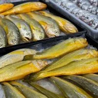 東港強嚴選海鮮魚貨