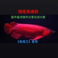 股市《魚尾王》昊哥 當沖波段技術分析大群