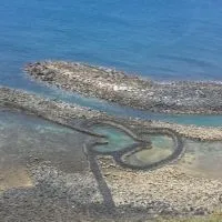 股票期反德古拉精英聯盟.當沖波段產業多空軍交流