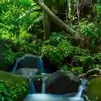 👑股市遊山水