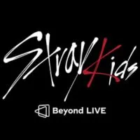 ［Stray Kids 專輯小卡周邊買賣］