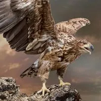 當沖，波段，股票，期貨知識交流社群。第一群 閒雲野鶴2022-11-28創群