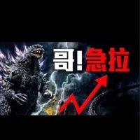 🌍股海名燈 哥急拉