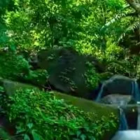👑股市遊山水